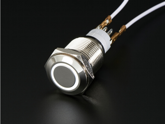 Metal Switch Momentary 16mm White LED Ring Water/Dustproof
