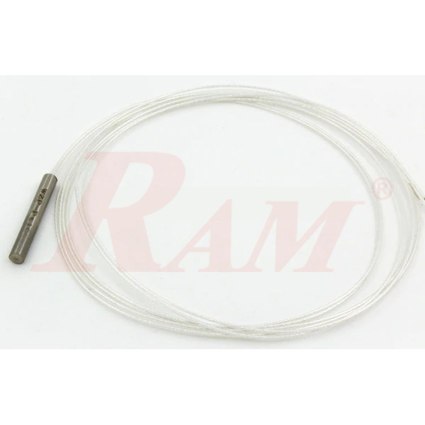 PT100 - RTD Temperature Sensor Metal Head With Cable (SKU#WIRE.PTC)