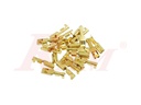MF 2.8mm Female Terminals Wiring Connectors - Gold