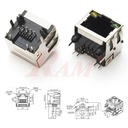 RJ45 - 8 Pin With LED Network Connector On PCB