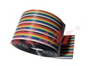 Multicolor 10 pin Dupont Flat Ribbon Cable (1 Meter)