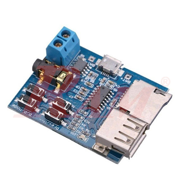 U-Disk & TF Card MP3 Decoder Board Player With Amplifier | RAM ...